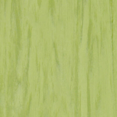 Лінолеум Tarkett Standard Plus Lime 0922 (2m)