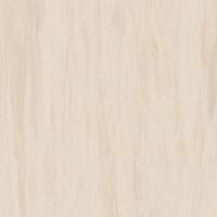 Лінолеум Tarkett Standard Plus Sand Light 0912 (2m)