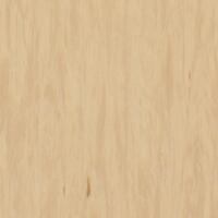 Лінолеум Tarkett Standard Plus Sandstone 0484 (2m)