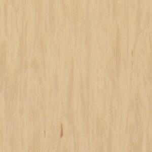 Лінолеум Tarkett Standard Plus Sandstone 0484 (2m)