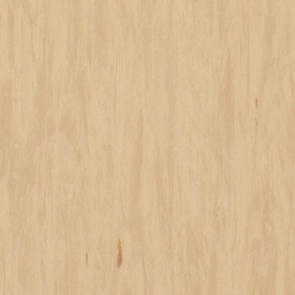 Линолеум Tarkett Standard Plus Sandstone 0484 (2m)