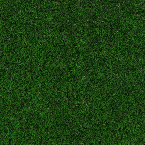 Декоративна трава Betap Calderaparq 30 2.0 m