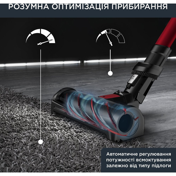 Пылесос Rowenta RH98A9WO