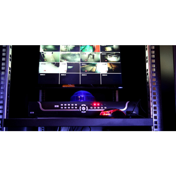 Жорсткий диск WD Purple WD43PURZ