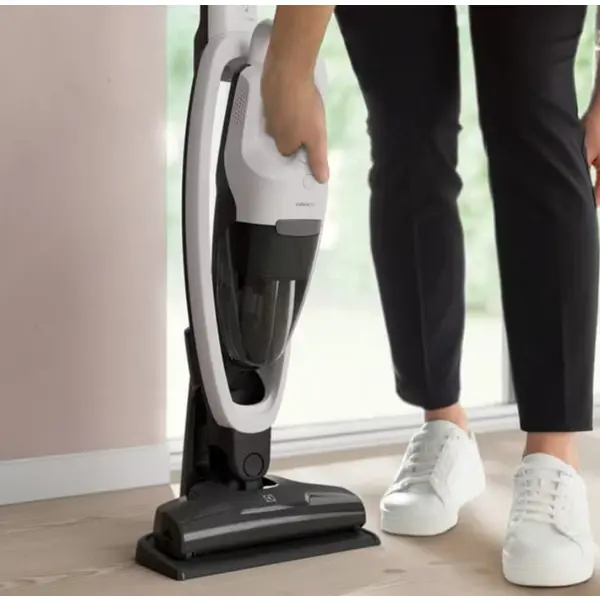 Пилосос ELECTROLUX ES31CB18SH