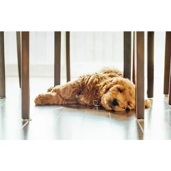 Ламінат AGT SOLARO EFFECT 8mm 32kl 4V