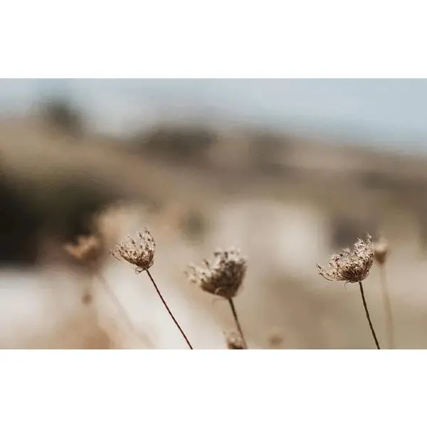 Ламінат AGT  TIBET EFFECT 8mm 32kl 4V