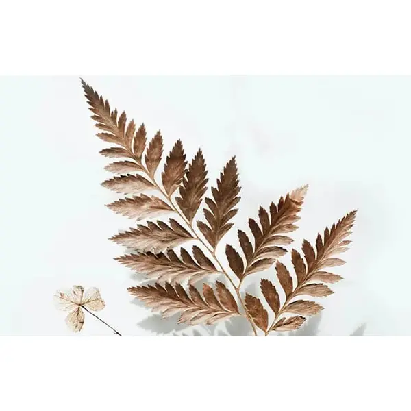 Ламінат AGT  URAL EFFECT 8mm 32kl 4V