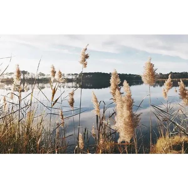 Ламінат AGT MERIC NATURA LINE  8mm 32kl 4V