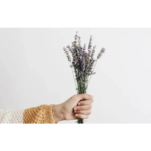 Ламінат AGT TREND NATURA LINE  8mm 32kl 4V