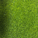 Спортивна штучна трава Congrass Collor turf  Зелена 15 mm 4m