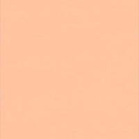 Лінолеум Tarkett WALLGARD ORANGE