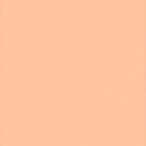 Лінолеум Tarkett WALLGARD ORANGE