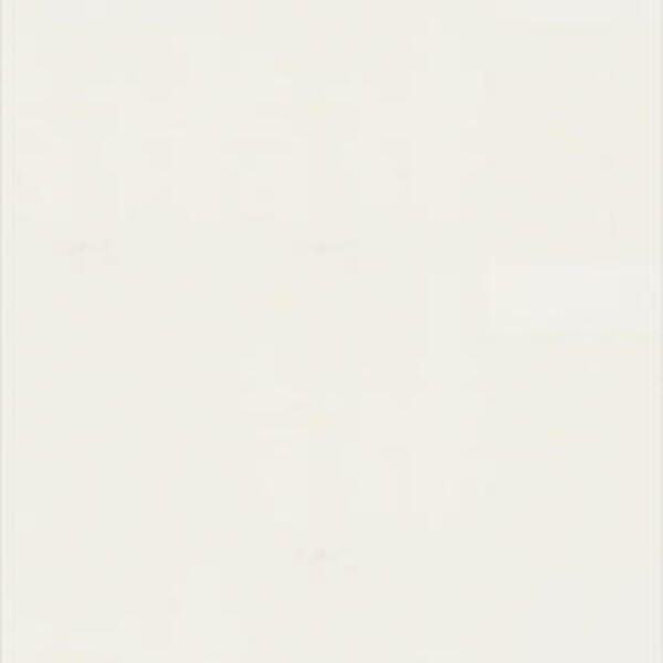 Лінолеум Tarkett WALLGARD Wallgard WHITE