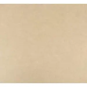 Виставковий ковролін SINTRA 0219 (2.0 m)