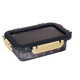 Контейнер пл. HEREVIN GOLD 0.6 л (161426-582)