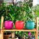 Горшок для цветов Colorful 0,55 л светло-розовый