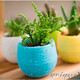 Горшок для цветов Colorful 0,55 л светло-розовый