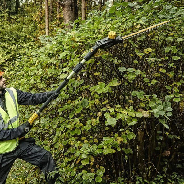 Кущоріз DeWALT DCMPH566P1