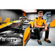 Шуруповёрт ударный McLaren F1 TEAM LIMITED EDITION DeWALT DCF85ME2GT