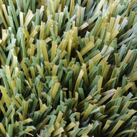 Спортивна штучна трава UNITY MUNDIAL 60  4.0m