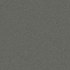 Лінолеум Tarkett SPARK A 15 (2m)