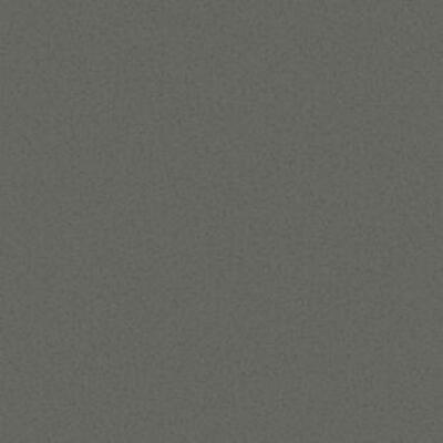 Лінолеум Tarkett SPARK A 15 (2m)
