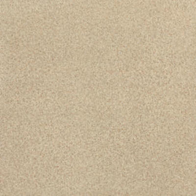 Лінолеум Tarkett SPARK V 01 (2m)