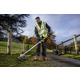 Коса аккумуляторная бесщёточная DeWALT DCMST561P1
