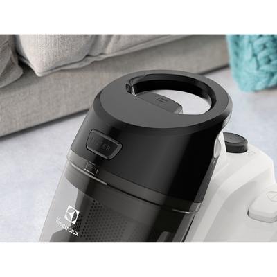 Пилосос Electrolux EC41-2SW