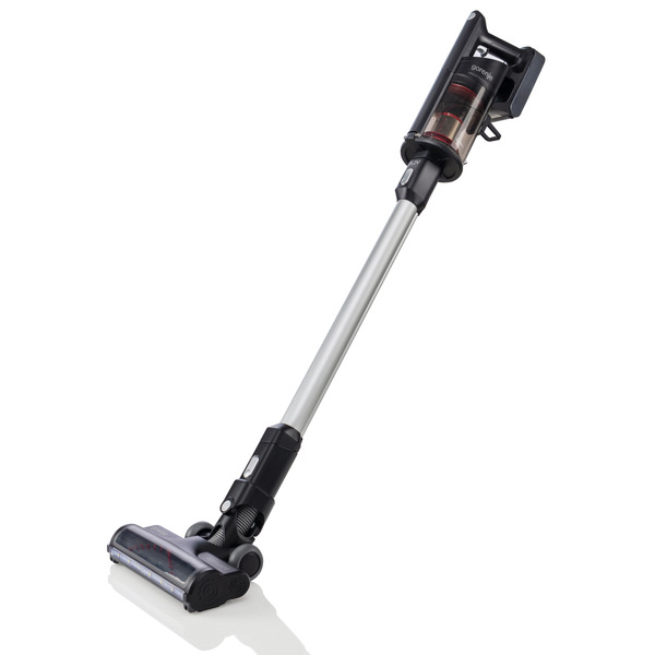 Пылесос GORENJE SVC 252 FMBK (VC3931-GS)