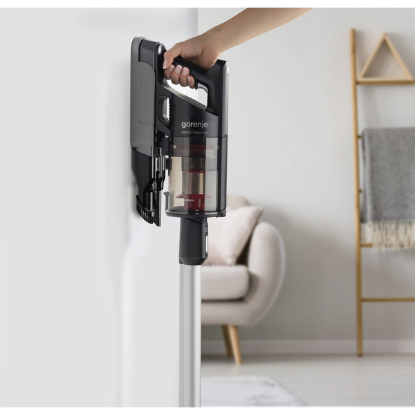 Пылесос GORENJE SVC 252 FMBK (VC3931-GS)