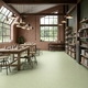 Линолеум Tarkett Eclipse Premium PASTEL OLIVE 0077