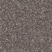 Лінолеум Tarkett Eclipse Premium WHITE BROWN 0810