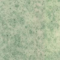 Лінолеум Grabo Diamond Standart Fresh 4576-476 (4m)