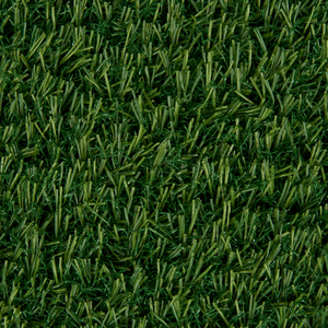 Декоративна трава KARPATIA 15 4.0m