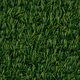Декоративна трава KARPATIA 15 4.0m