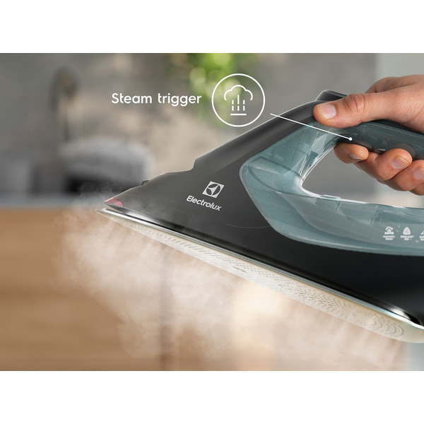 Праска Electrolux E8SI2-6OG