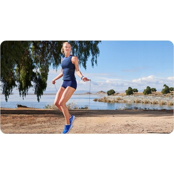 Наушники JBL T290 Silver (JBLT290SIL)