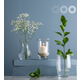 Ваза TRENDGLASS ASTA /18 см (35445)