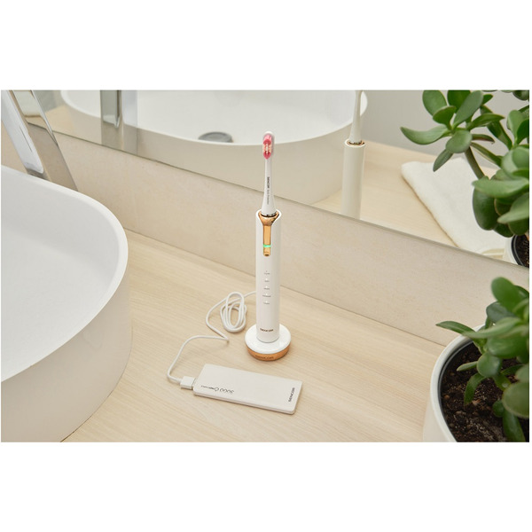 Зубна електрощітка Sencor SOC 4103GD 41018273