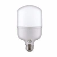 Лампа Светодиодная "TORCH-20"  20W 6400K E27