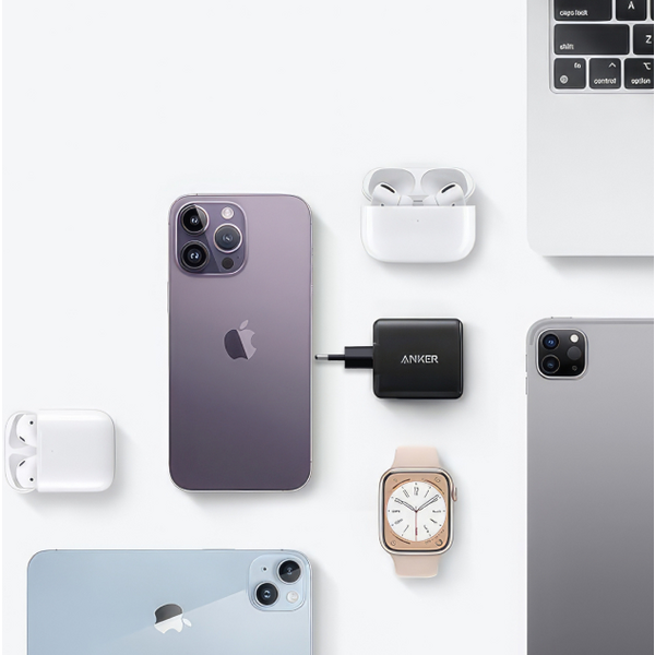 Сетевое зарядное устройство Anker PowerPort 312 Black, 25 W USB Type-C (A2642G11)