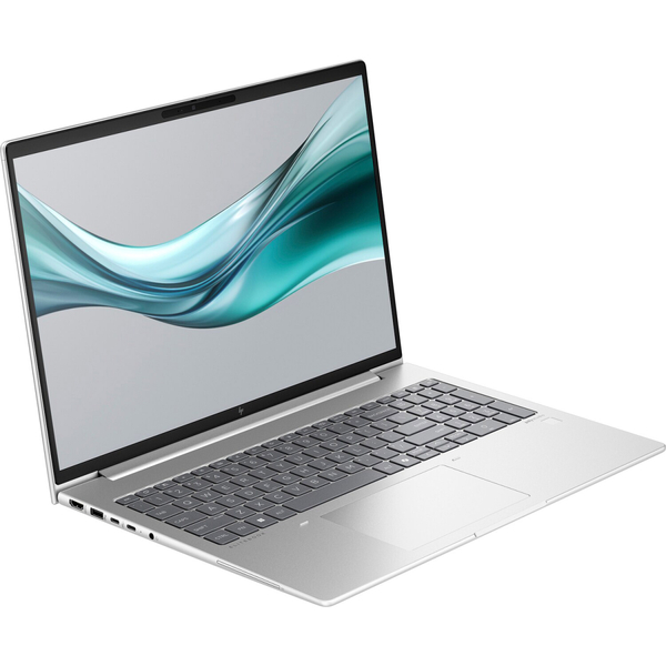 Ноутбук HP EliteBook 665 G11 (8Z719AV_V4)