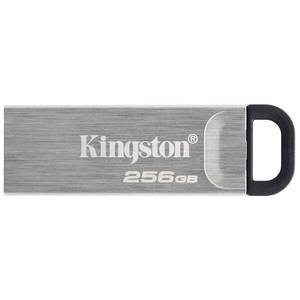 USB-Флешка Kingston 256GB DT Kyson