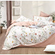 Комплект SOHO Комплект пост.білизни Євро Elle 200*230 Wildflowers Rose