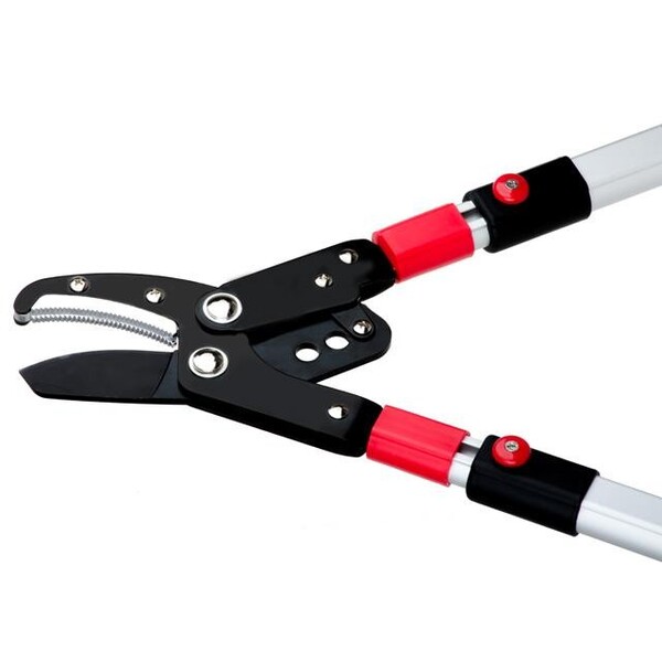 Гілкоріз садовий з телескопічними ручками INTERTOOL FT-1116