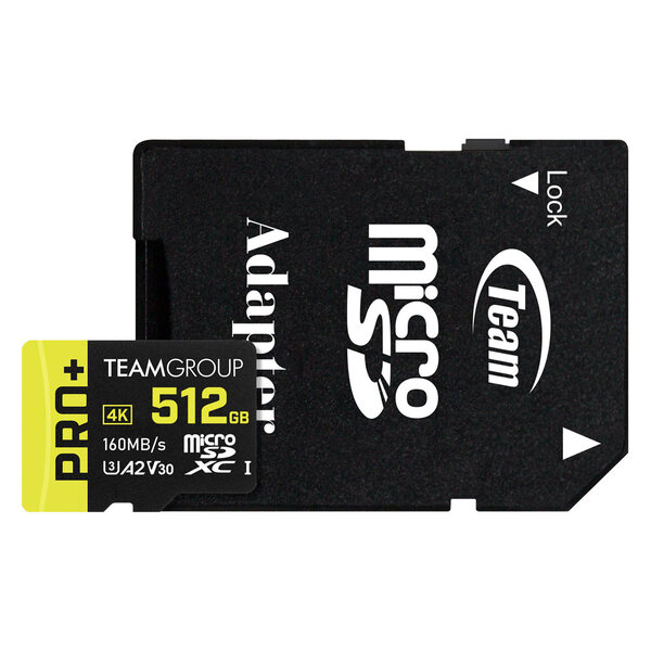 Карта памяти MicroSDXC 256GB UHS-I/U3 Class 10 Team Pro+ R160/W110MB/s + SD-адаптер (TPPMSDX256GIA2V3003)