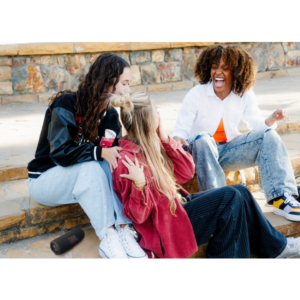 Акустична система JBL Flip 7 Black (JBLFLIP7BLK)