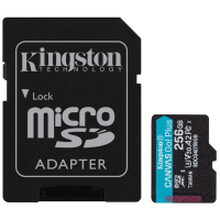 Карта пам`яті Kingston Canvas Go! Plus SDCG4/256GB